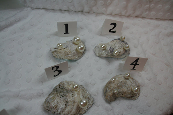 Oyster Trinket Dish (Ocean Water)