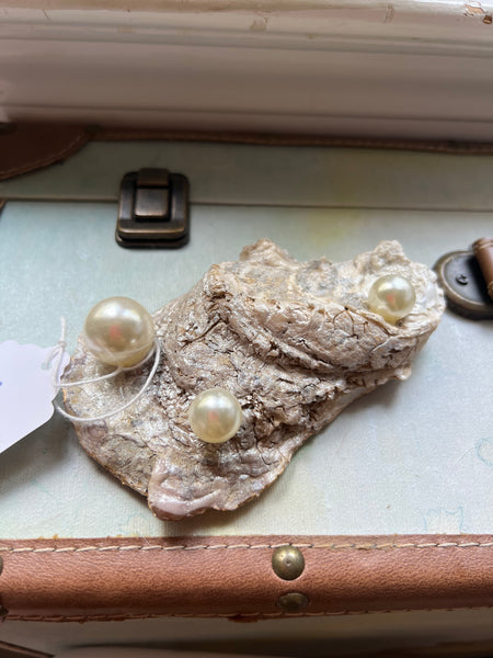 Oyster Trinket Dish (Tequila)