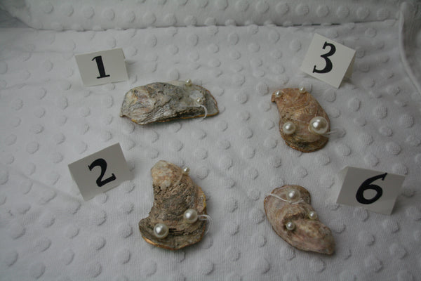 Oyster Trinket Dish (Palm Flamingo)