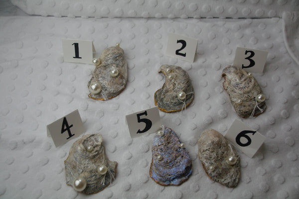 Oyster Trinket Dish (Red, White, Blue)