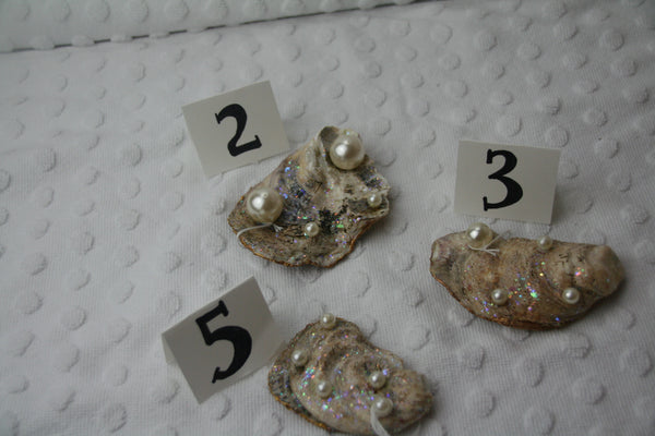 Oyster Trinket Dish (Purple)