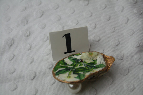 Oyster Trinket Dish (Magnolia)