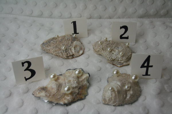 Oyster Trinket Dish (Ocean Water)