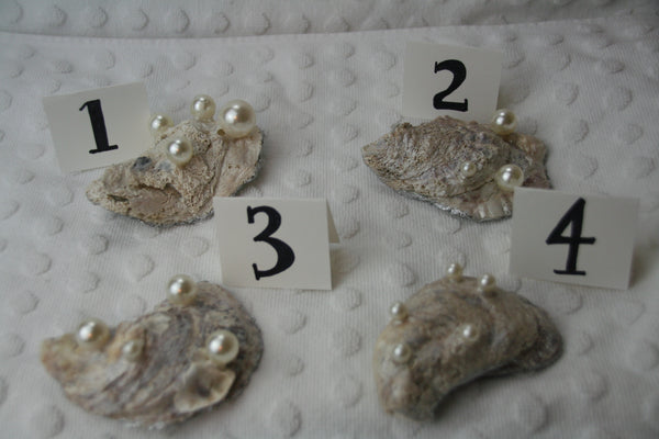 Oyster Trinket Dish (Silver Tequila)