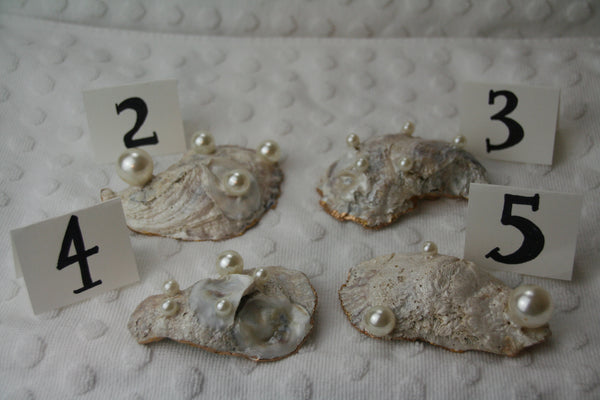Oyster Trinket Dish (Gold Tequila)