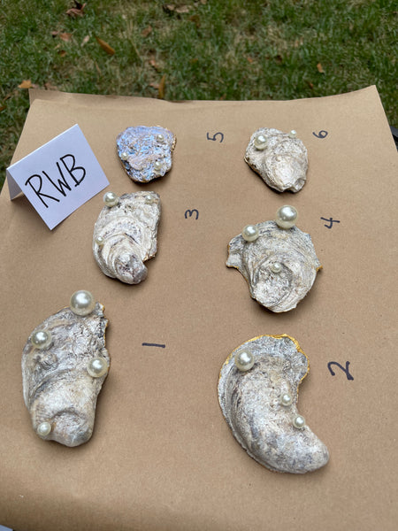 Oyster Trinket Dish (Red, White, Blue)