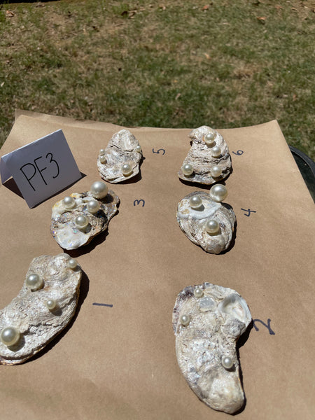 Oyster Trinket Dish (Pink Flowers 3)